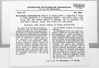 Image Associated With the Occurence